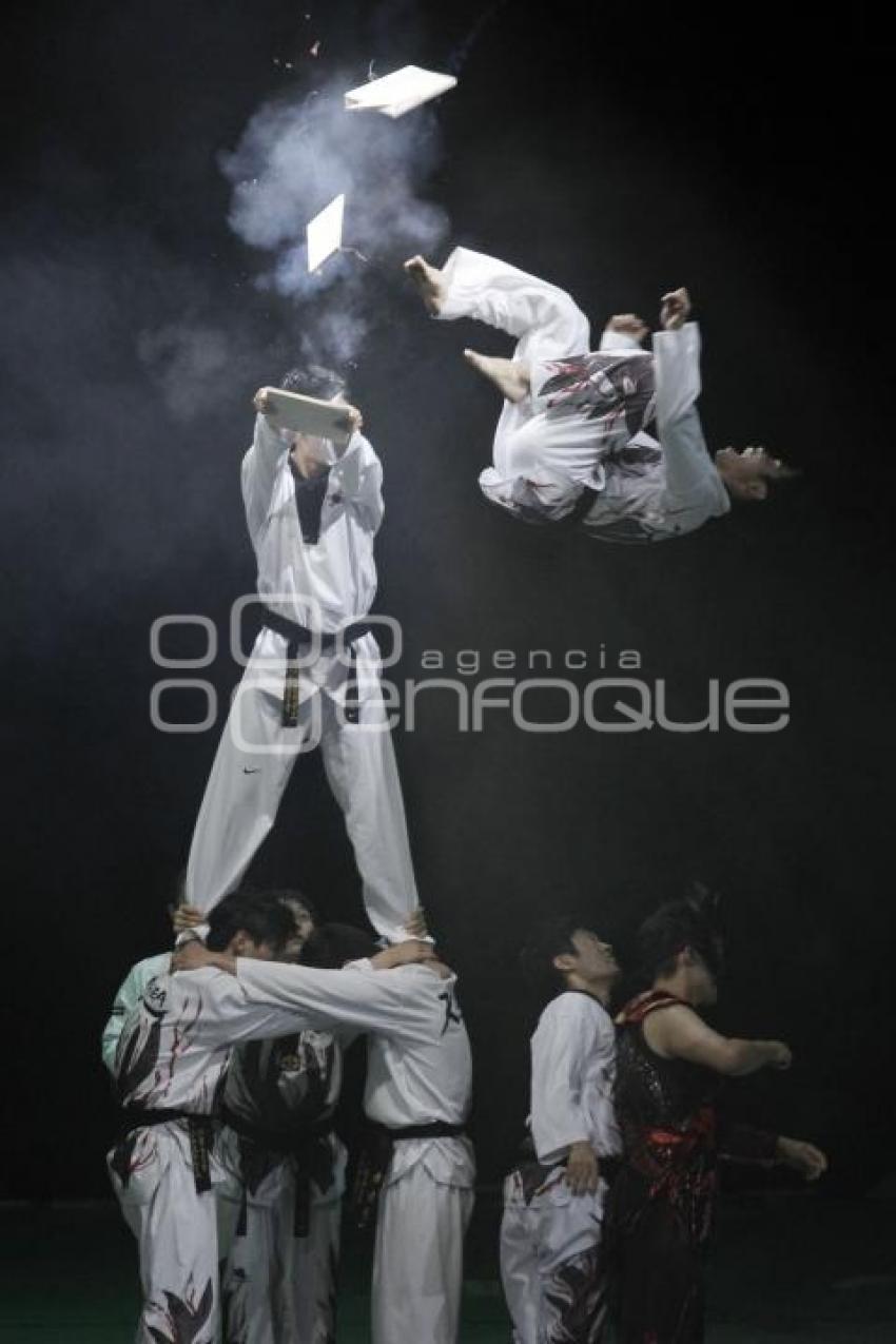 EXTREME TAEKWONDO PERFORMANCE. TAL