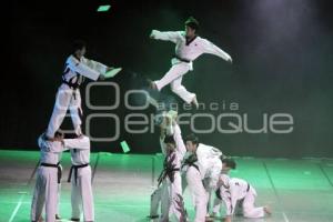 EXTREME TAEKWONDO PERFORMANCE. TAL