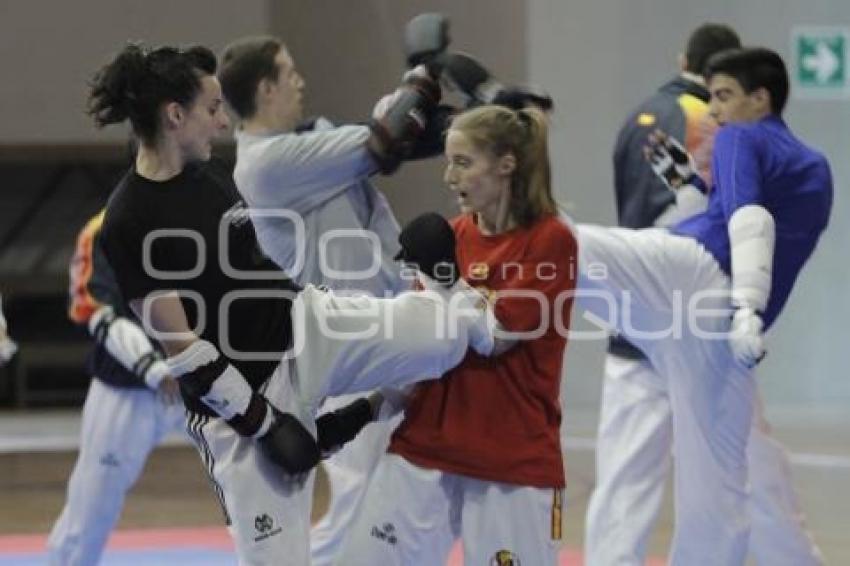 ENTRENAMIENTO SELECCIÓN ESPAÑOLA TAE KWON DO