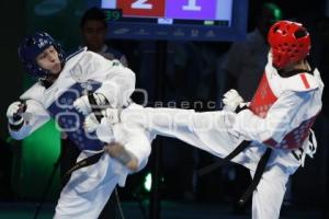 CAMPEONATO MUNDIAL DE TAEKWONDO