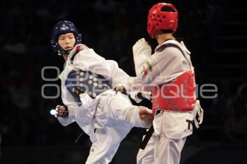 FINAL VARONIL. MUNDIAL DE TAEKWONDO