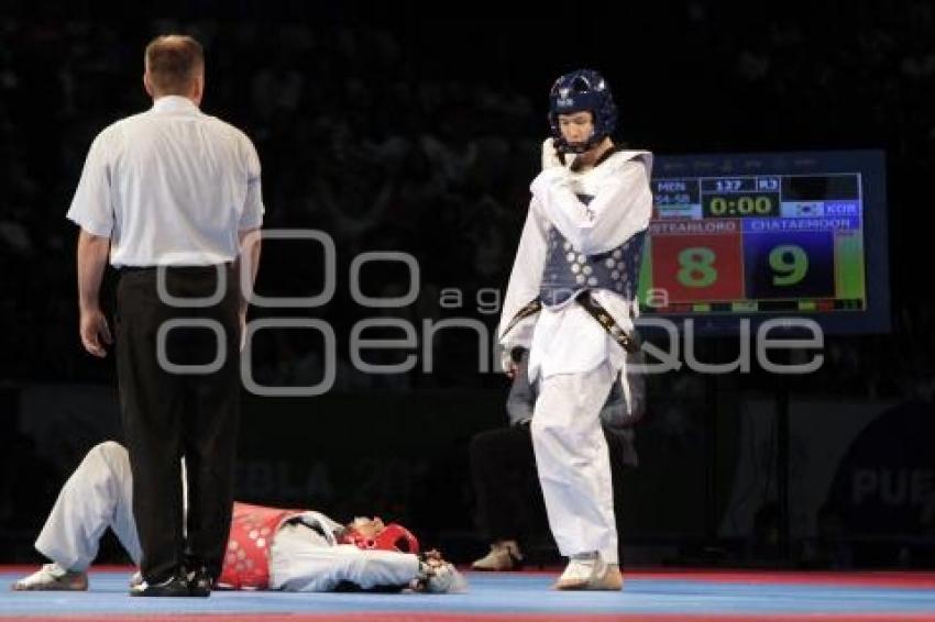 FINAL VARONIL. MUNDIAL DE TAEKWONDO