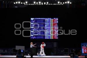 MUNDIAL TAEKWONDO PUEBLA 2013