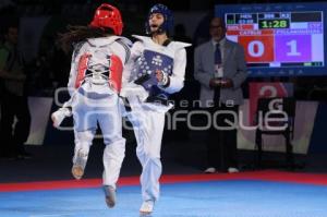 MUNDIAL TAEKWONDO PUEBLA 2013