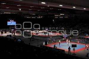 MUNDIAL TAEKWONDO PUEBLA 2013