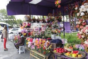 TIANGUIS DE ANALCO