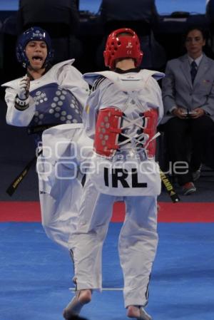 ABEL MENDOZA . MUNDIAL TAEKWONDO PUEBLA 2013