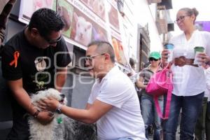 MANIFESTACIÓN CONTRA EL MATAGATOS EN EL CONGRESO