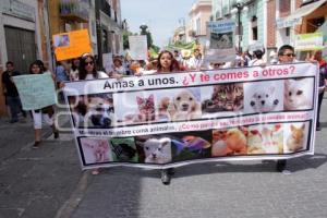 MANIFESTACIÓN CONTRA EL MATAGATOS