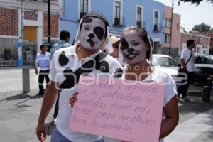 MANIFESTACIÓN CONTRA EL MATAGATOS