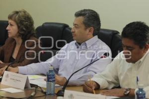 COMISIÓN DE ASUNTOS INTERNACIONALES . CONGRESO