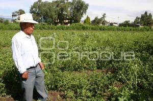 CAMPO . AFECTACIONES POR LLUVIAS