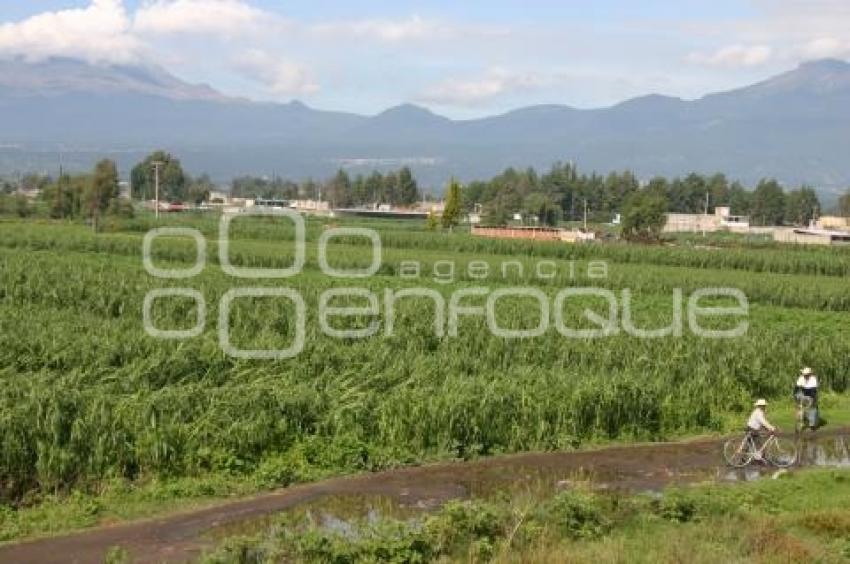 CAMPO . AFECTACIONES POR LLUVIAS