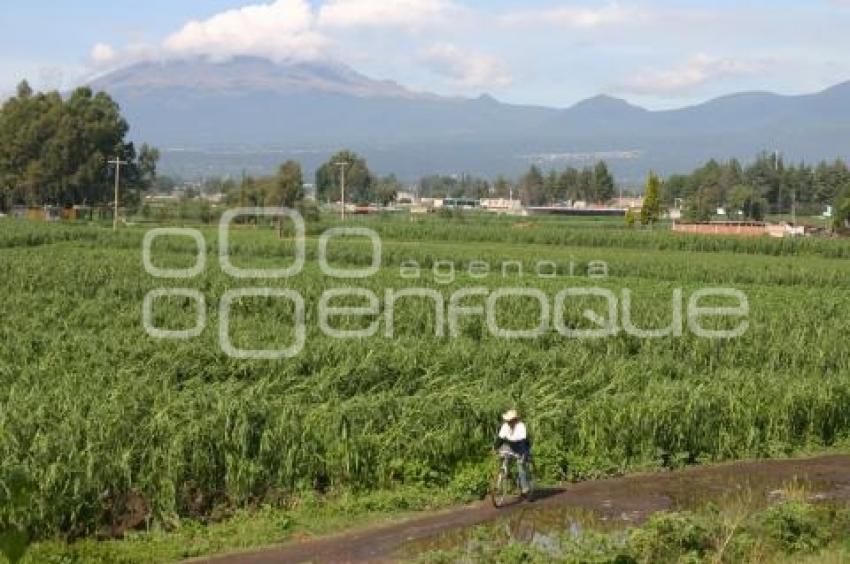 CAMPO . AFECTACIONES POR LLUVIAS