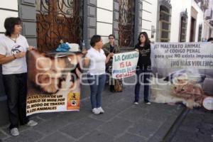 MANIFESTACIÓN CONTRA EL MALTRATO ANIMAL