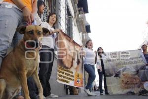 MANIFESTACIÓN CONTRA EL MALTRATO ANIMAL