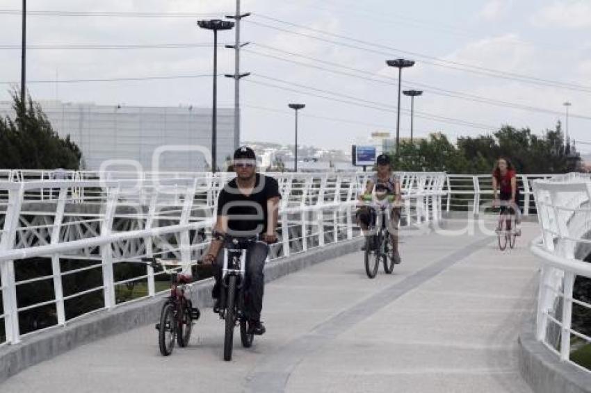 OBRAS EMBLEMÁTICAS RMV