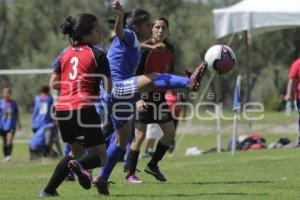 ASCENSO . LIGA MAYOR FEMENIL