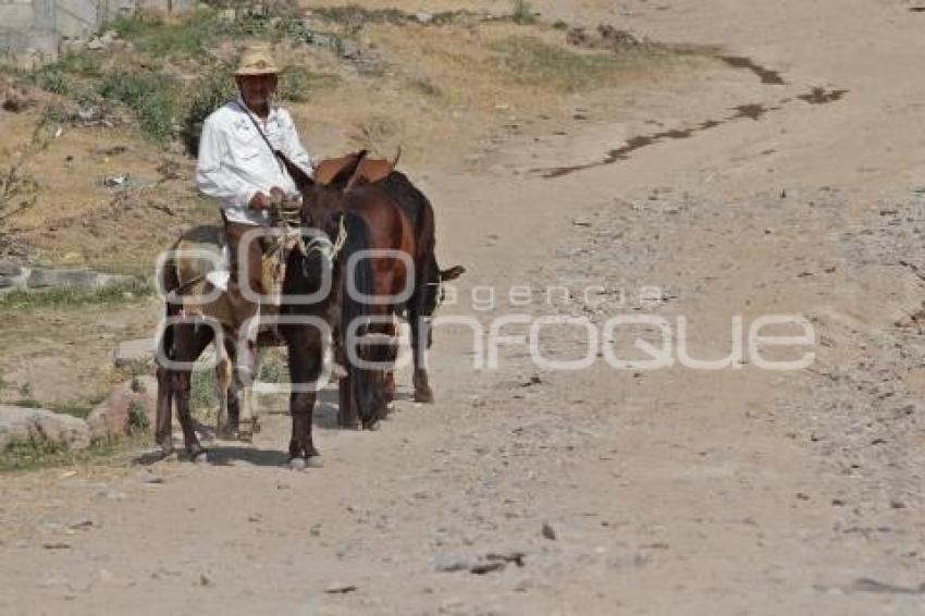 POBREZA . CONEVAL