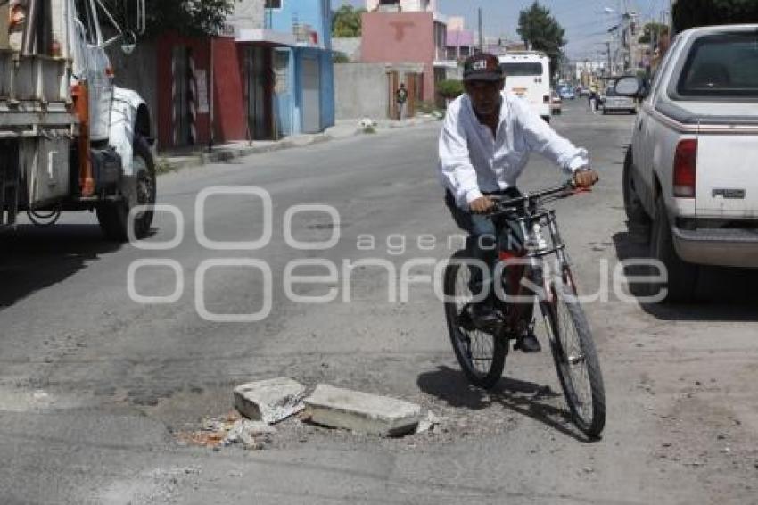 BACHES