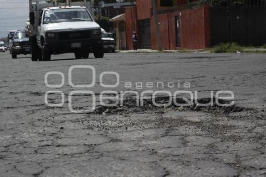 BACHES