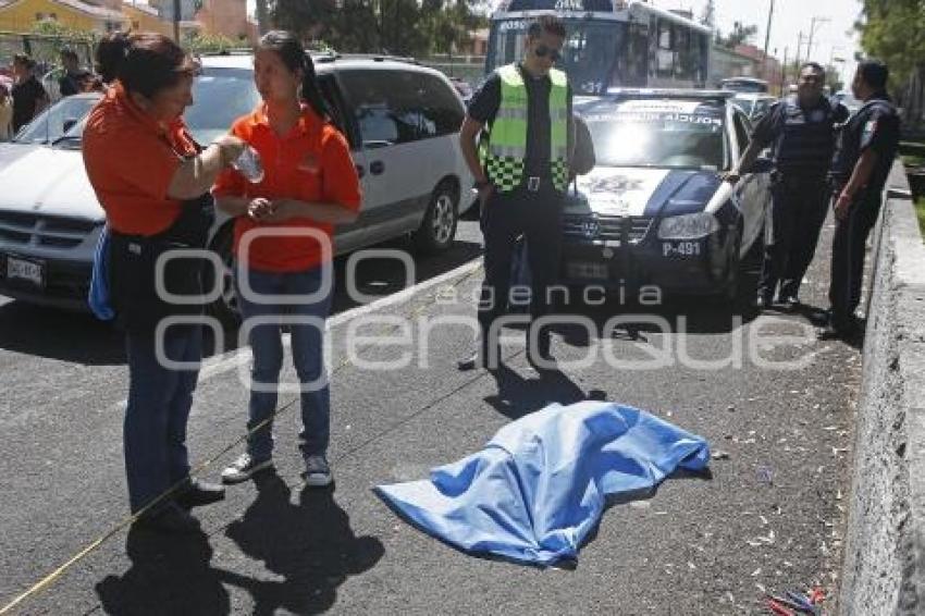 MUERE HOMBRE ATROPELLADO