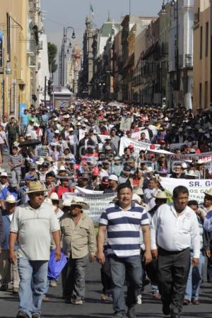 MANIFESTACIÓN DE CAÑEROS