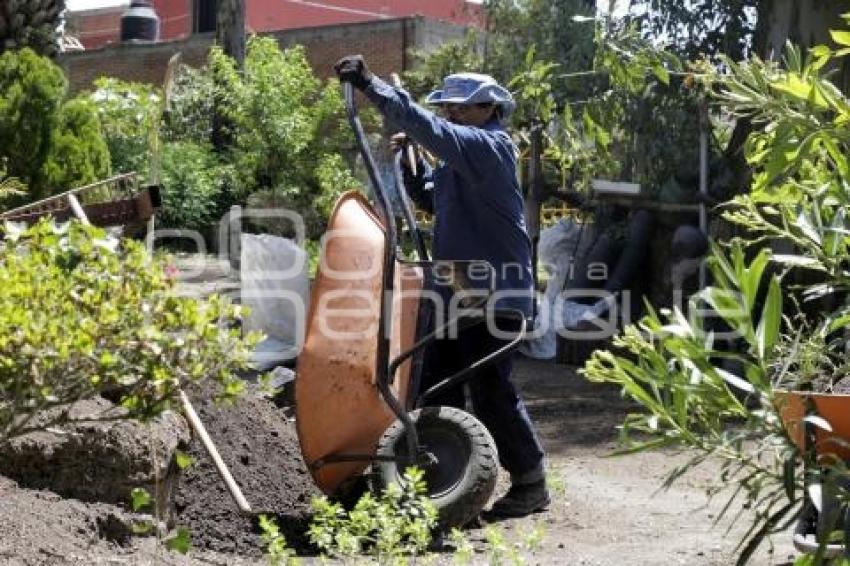 ORNAMENTA SIEMBRA Y CUIDA TU PARQUE