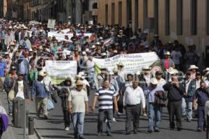 MANIFESTACIÓN DE CAÑEROS