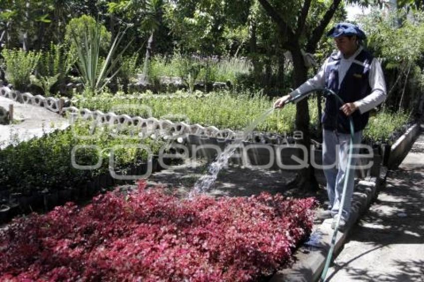 ORNAMENTA SIEMBRA Y CUIDA TU PARQUE