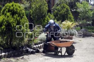 ORNAMENTA SIEMBRA Y CUIDA TU PARQUE