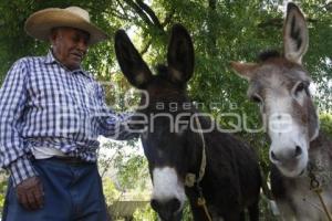 DÍA INTERNACIONAL DE LOS PUEBLOS INDÍGENAS