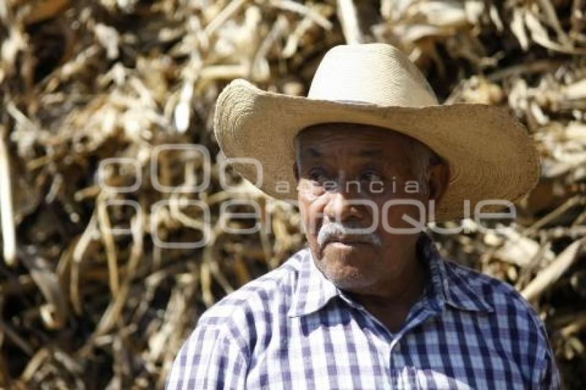 DÍA INTERNACIONAL DE LOS PUEBLOS INDÍGENAS