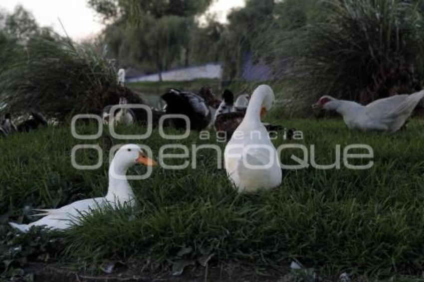 VIDA COTIDIANA. PARQUE ECOLÓGICO