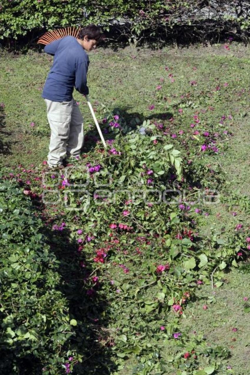 PARQUES Y JARDINES