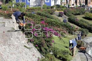 PARQUES Y JARDINES