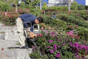 PARQUES Y JARDINES