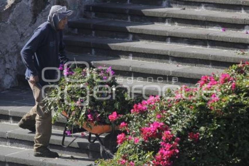 PARQUES Y JARDINES