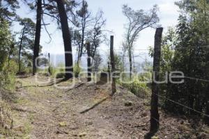 REFORESTACIÓN PARQUE NACIONAL IZTA-POPO