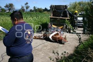 SE ELECTROCUTAN DOS HOMBRES Y MUERE UN CABALLO