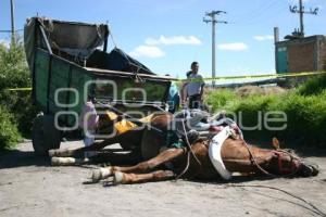 SE ELECTROCUTAN DOS HOMBRES Y MUERE UN CABALLO