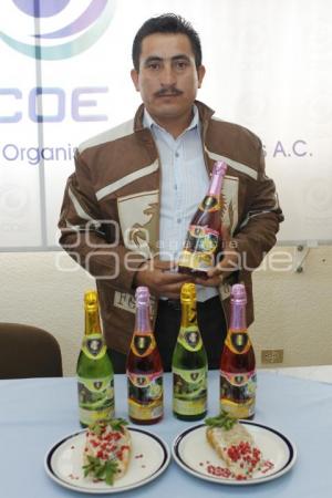 RUEDA DE PRENSA COE