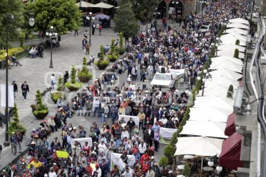 MANIFESTACIÓN DE CAÑEROS