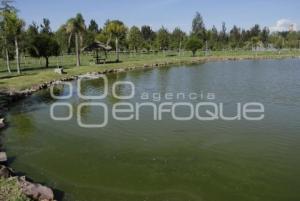 LAGUNA . JARDÍN DEL ARTE
