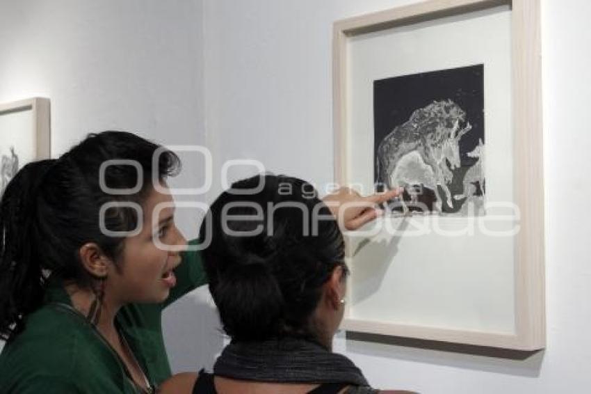 EXPOSICIÓN DE FRANCISCO TOLEDO