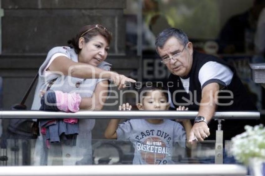 DÍA DEL ADULTO MAYOR