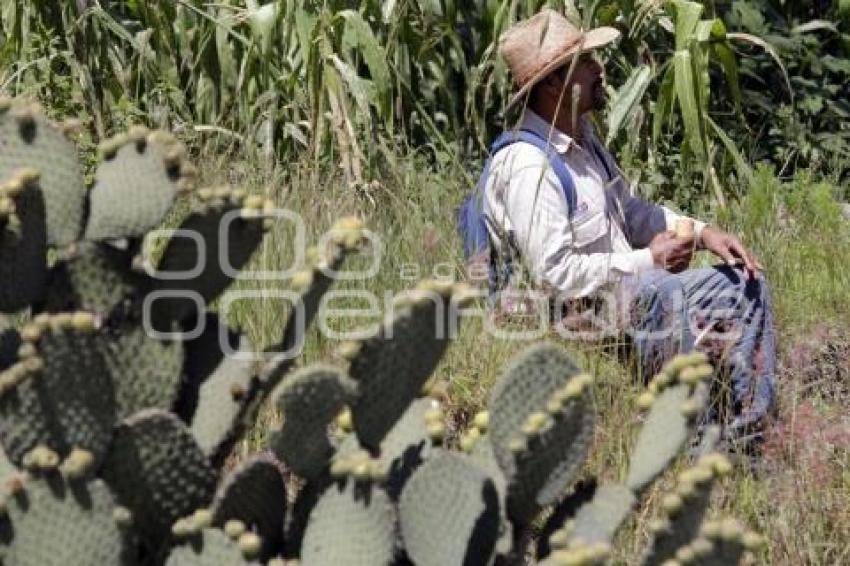 VIDA COTIDIANA