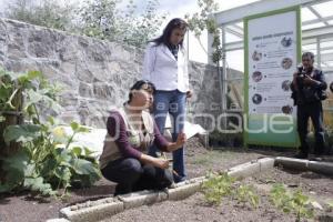 TALLER AGRICULTURA SUSTENTABLE