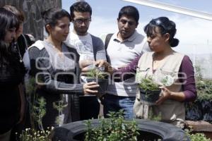 TALLER AGRICULTURA SUSTENTABLE