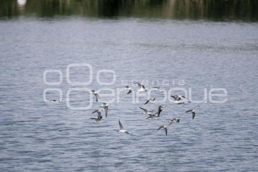 LAGUNA DE CHAPULCO